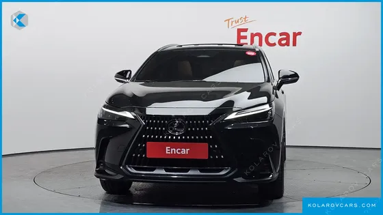 LEXUS NX PREMIUM