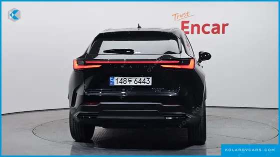 LEXUS NX PREMIUM