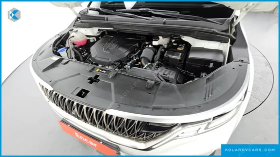 KIA CARNIVAL 9-SEATER PRESTIGE