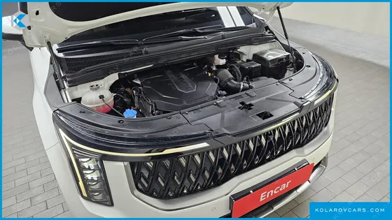 KIA CARNIVAL 9-SEATER NOBLESSE