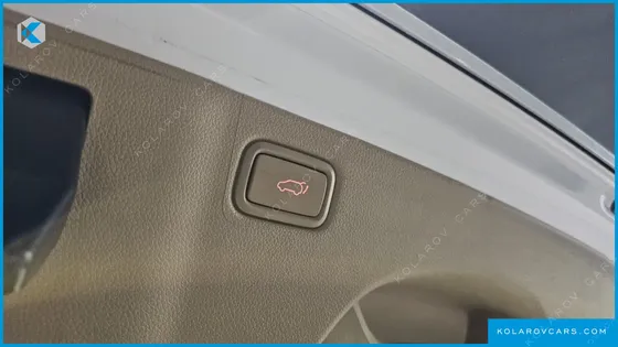 KIA CARNIVAL 9-SEATER NOBLESSE SPECIAL