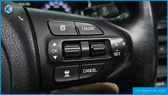KIA CARNIVAL 9-SEATER NOBLESSE SPECIAL