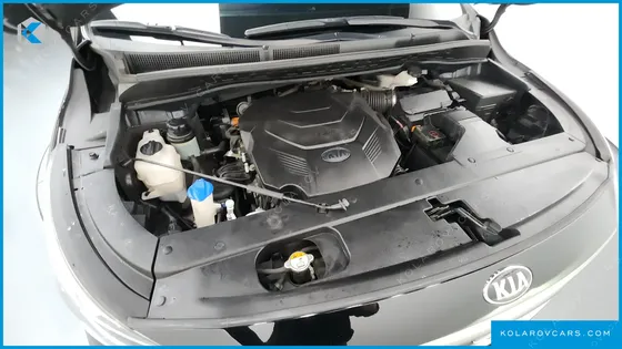 KIA CARNIVAL GASOLINE 9-SEATER HI-LIMOUSINE