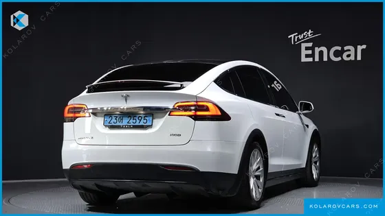 TESLA MODEL X 100D