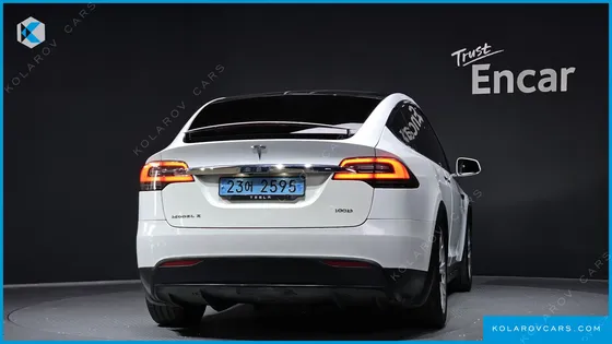 TESLA MODEL X 100D