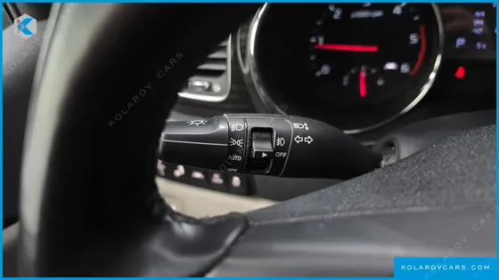 KIA CARNIVAL 9-SEATER NOBLESSE SPECIAL
