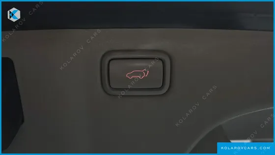 KIA CARNIVAL 9-SEATER NOBLESSE SPECIAL