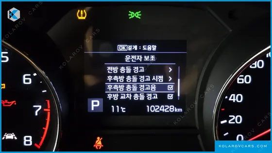 KIA CARNIVAL GASOLINE 9-SEATER LIMOUSINE(SPECIAL VEHICLE)