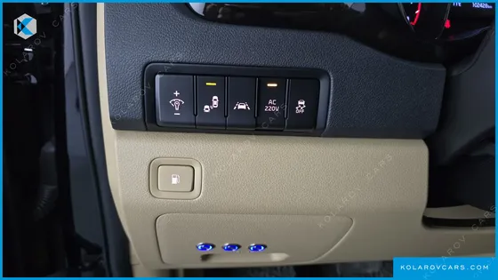 KIA CARNIVAL GASOLINE 9-SEATER LIMOUSINE(SPECIAL VEHICLE)
