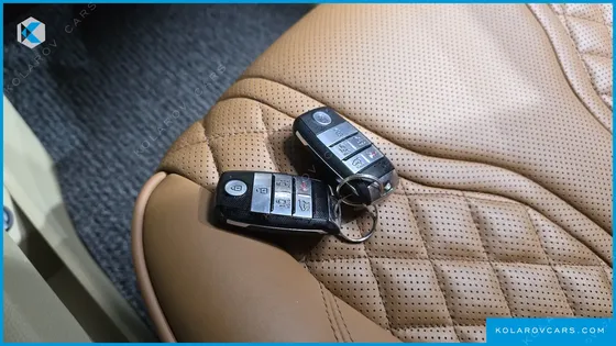 KIA CARNIVAL GASOLINE 9-SEATER LIMOUSINE(SPECIAL VEHICLE)