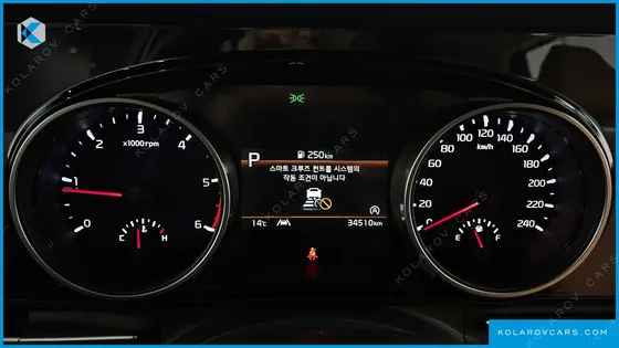 KIA CARNIVAL 9-SEATER NOBLESSE