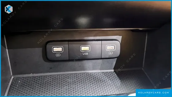 KIA CARNIVAL 9-SEATER NOBLESSE