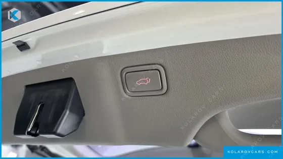 KIA CARNIVAL 7-SEATER LIMOUSINE