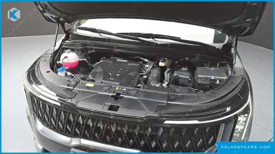 KIA CARNIVAL GASOLINE 9-SEATER NOBLESSE