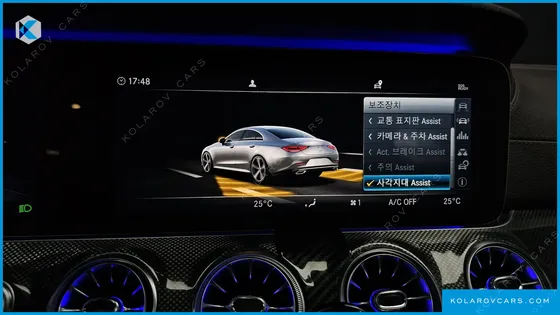 MERCEDES CLS-CLASS CLS300D AMG LINE