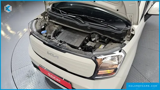 KIA RAY SIGNATURE