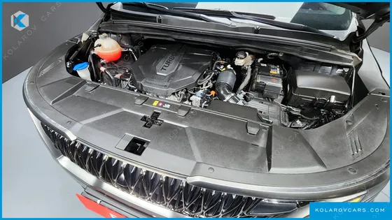KIA CARNIVAL 9-SEATER NOBLESSE
