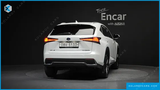 LEXUS NX SUPREME