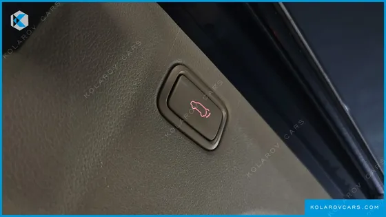 KIA CARNIVAL 9-SEATER NOBLESSE SPECIAL