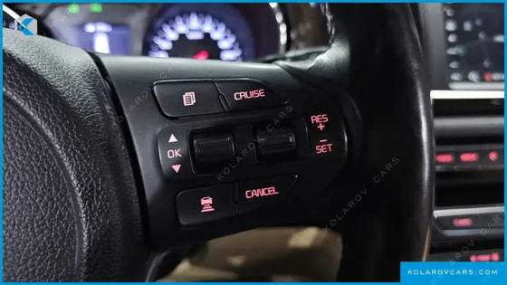KIA CARNIVAL 9-SEATER NOBLESSE SPECIAL