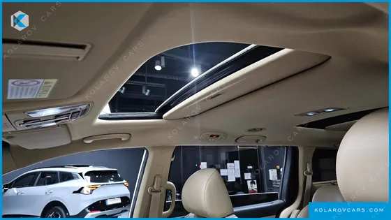 KIA CARNIVAL 9-SEATER NOBLESSE SPECIAL