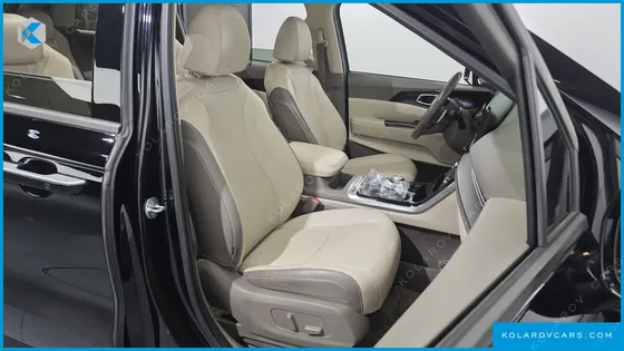 KIA CARNIVAL 9-SEATER SIGNATURE
