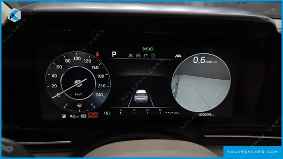 KIA CARNIVAL GASOLINE 9-SEATER LIMOUSINE(SPECIAL VEHICLE)