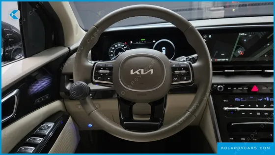 KIA CARNIVAL GASOLINE 9-SEATER LIMOUSINE(SPECIAL VEHICLE)