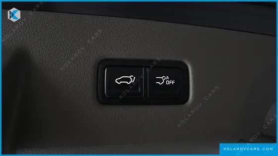 KIA CARNIVAL GASOLINE 9-SEATER LIMOUSINE(SPECIAL VEHICLE)