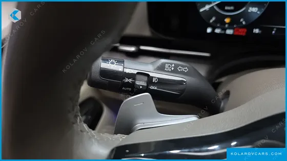 KIA CARNIVAL GASOLINE 9-SEATER LIMOUSINE(SPECIAL VEHICLE)