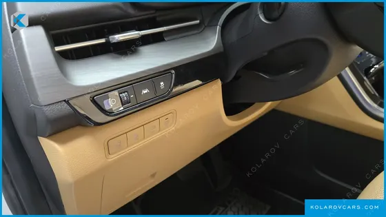 KIA CARNIVAL 9-SEATER SIGNATURE