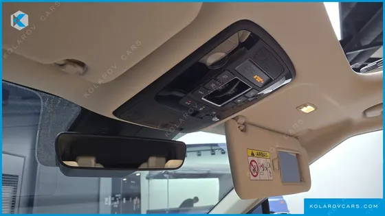KIA CARNIVAL 9-SEATER SIGNATURE