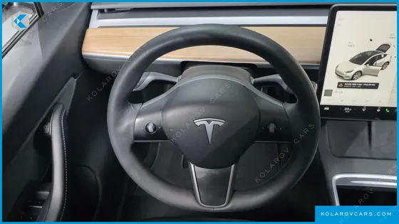 TESLA MODEL Y STANDARD RANGE RWD