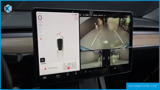 TESLA MODEL Y STANDARD RANGE RWD