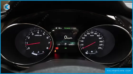 KIA CARNIVAL GASOLINE 9-SEATER NOBLESSE SPECIAL