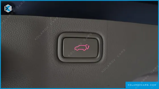KIA CARNIVAL GASOLINE 9-SEATER NOBLESSE SPECIAL