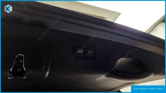 KIA CARNIVAL 9-SEATER HI LIMOUSINE (SPECIAL VEHICLE)