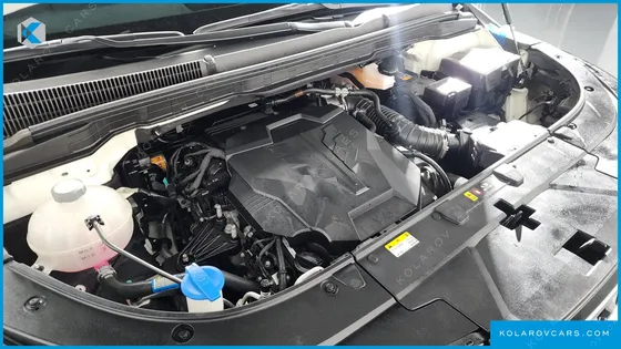 KIA CARNIVAL GASOLINE 9-SEATER SIGNATURE