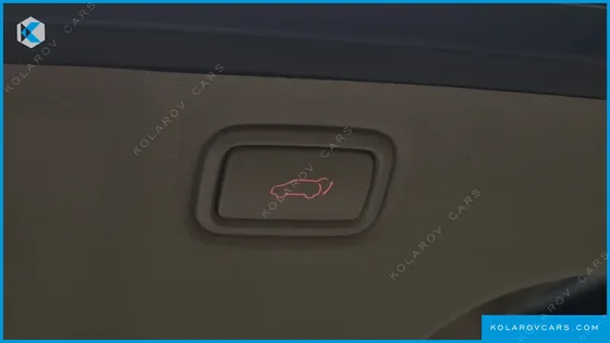 KIA CARNIVAL 9-SEATER HI-LIMOUSINE