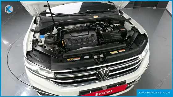 VOLKSWAGEN TIGUAN 2.0 TSI PRESTIGE