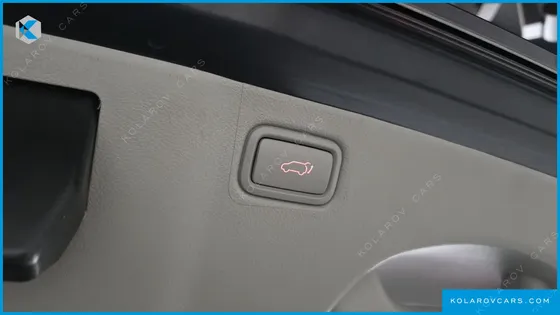 KIA CARNIVAL 9-SEATER NOBLESSE SPECIAL