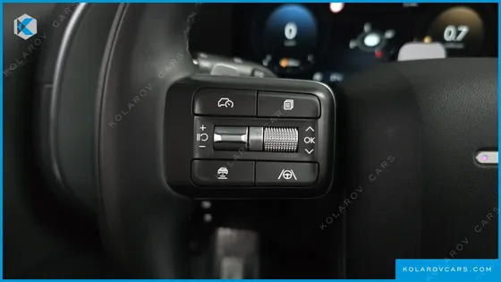 HYUNDAI PALISADE GASOLINE 2.5T 4WD 9-SEATER
