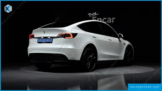 TESLA MODEL Y LONG RANGE AWD
