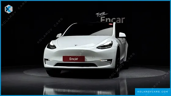 TESLA MODEL Y LONG RANGE AWD