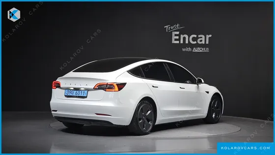 TESLA MODEL 3 STANDARD RANGE PLUE RWD
