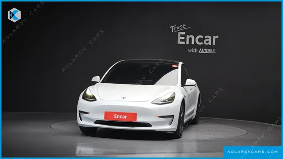 TESLA MODEL 3 STANDARD RANGE PLUE RWD
