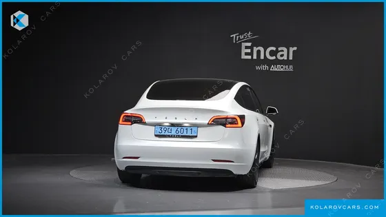 TESLA MODEL 3 STANDARD RANGE PLUE RWD