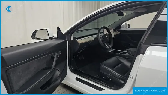 TESLA MODEL 3 STANDARD RANGE PLUE RWD