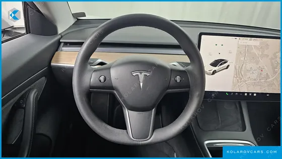 TESLA MODEL 3 STANDARD RANGE PLUE RWD