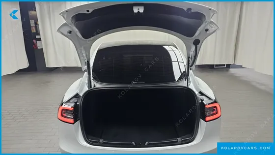 TESLA MODEL 3 STANDARD RANGE PLUE RWD
